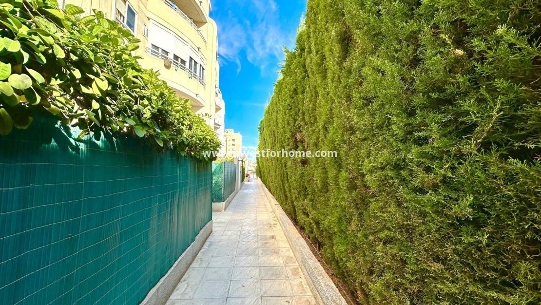 Sale - Apartment - Torrevieja - Playa del Cura