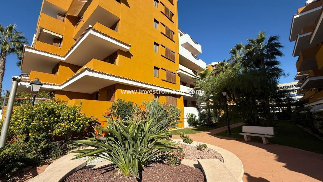 Sale - Apartment - Torrevieja - Punta prima