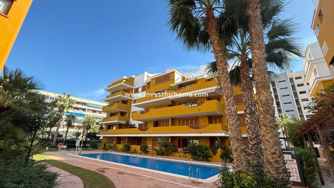 Sale - Apartment - Torrevieja - Punta prima