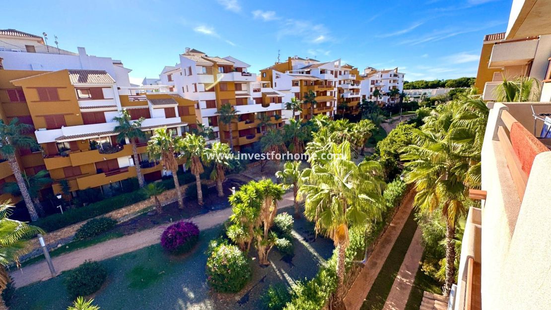 Sale - Apartment - Torrevieja - Punta prima