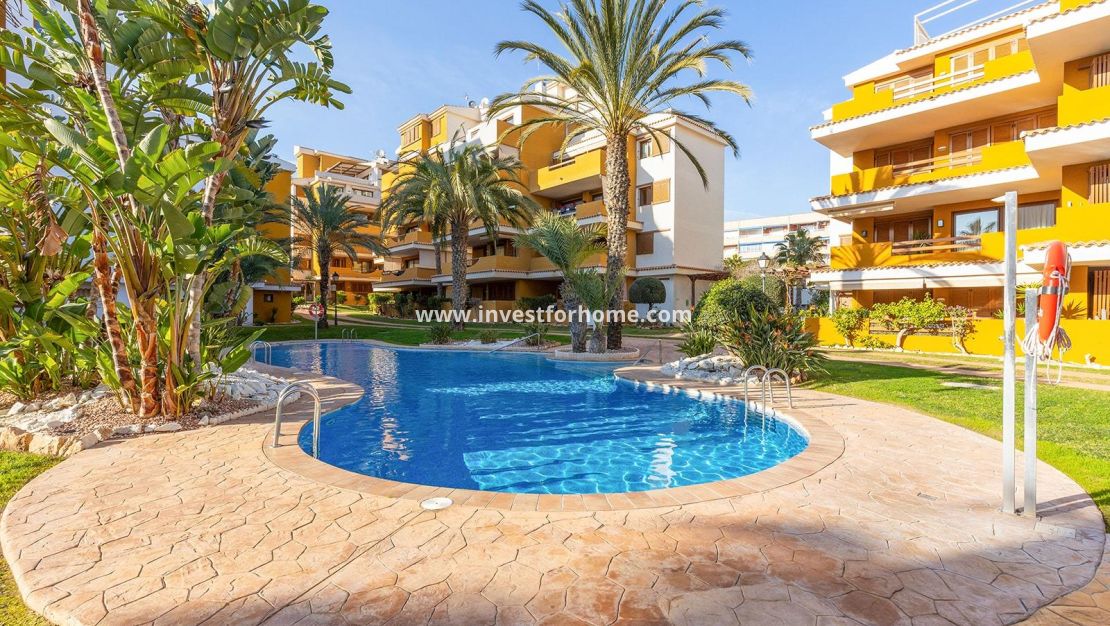 Sale - Apartment - Torrevieja - Punta prima