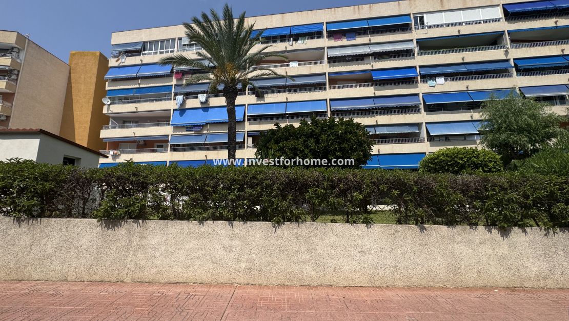 Sale - Apartment - Torrevieja - Rocio Del Mar