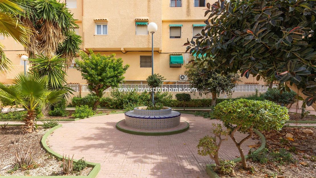 Sale - Apartment - Torrevieja - Torrelamata - La Mata