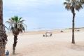 Sale - Apartment - Torrevieja - Torrelamata - La Mata