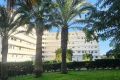 Sale - Apartment - Torrevieja - Torrelamata - La Mata