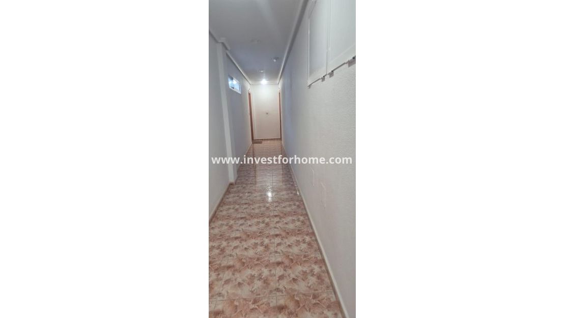 Sale - Apartment - Torrevieja - Torrelamata - La Mata