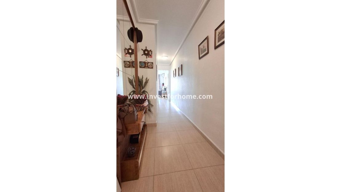 Sale - Apartment - Torrevieja - Torrelamata - La Mata