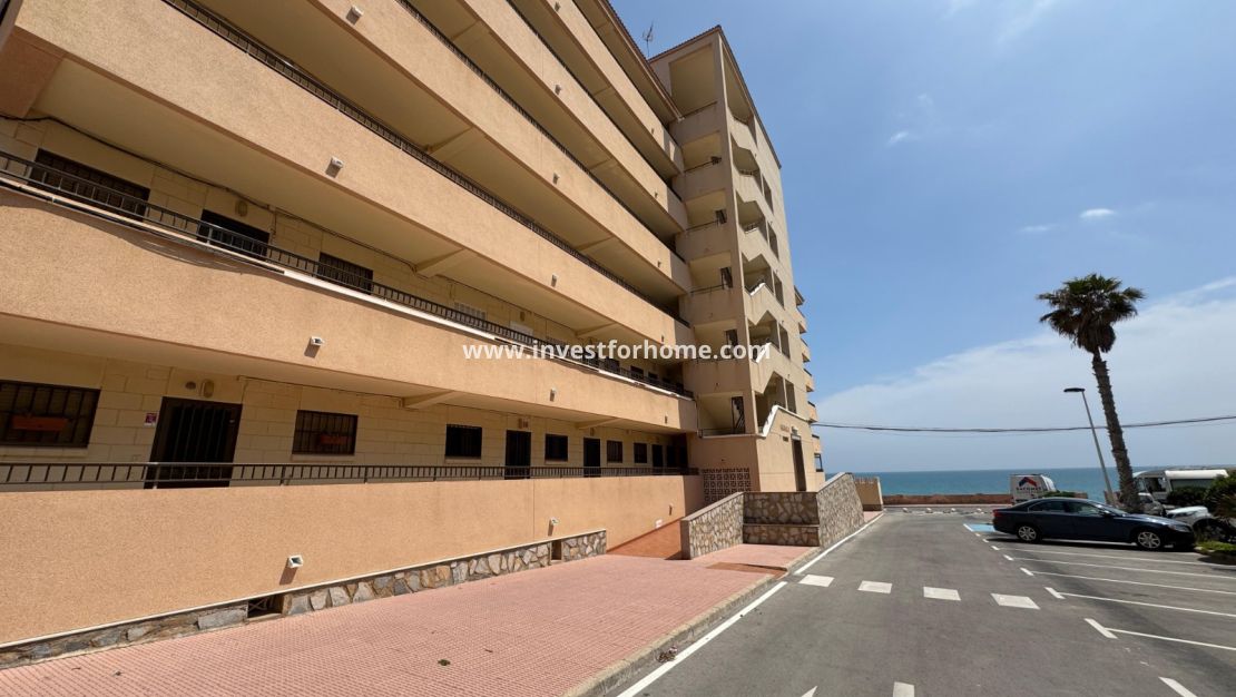 Sale - Apartment - Torrevieja - Torrevieja>Cabo Cervera