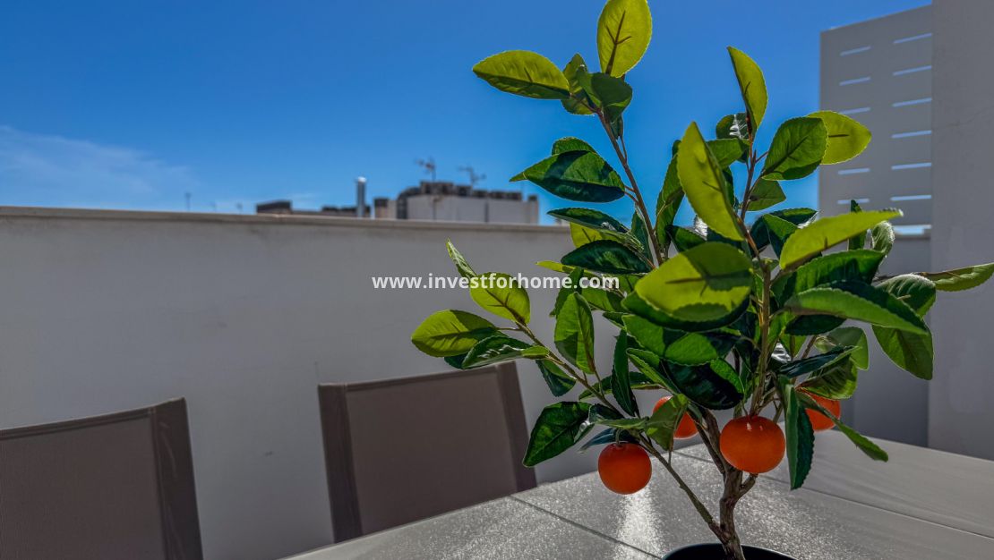 Sale - Apartment - Torrevieja
