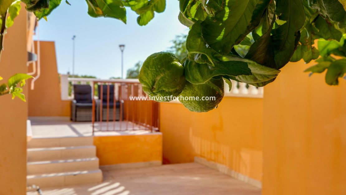 Sale - Bungalow - Torrevieja - aguas nuevas