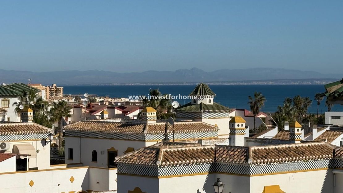 Sale - Bungalow - Torrevieja - Cañada Del Molino