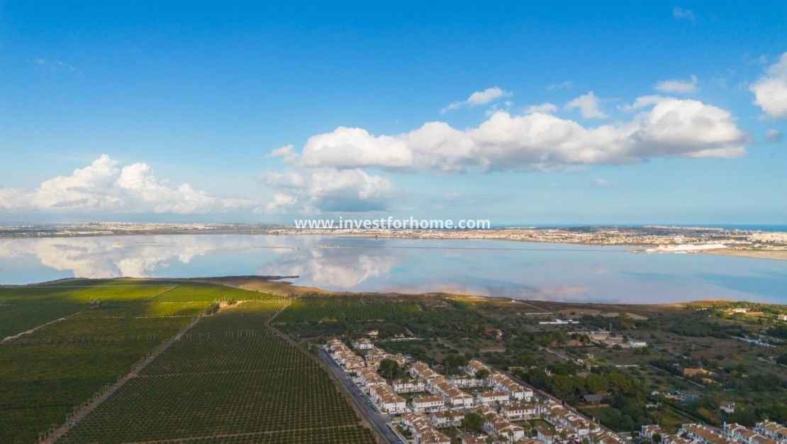 Sale - Bungalow - Torrevieja - Los Balcones - Los Altos Del Edén