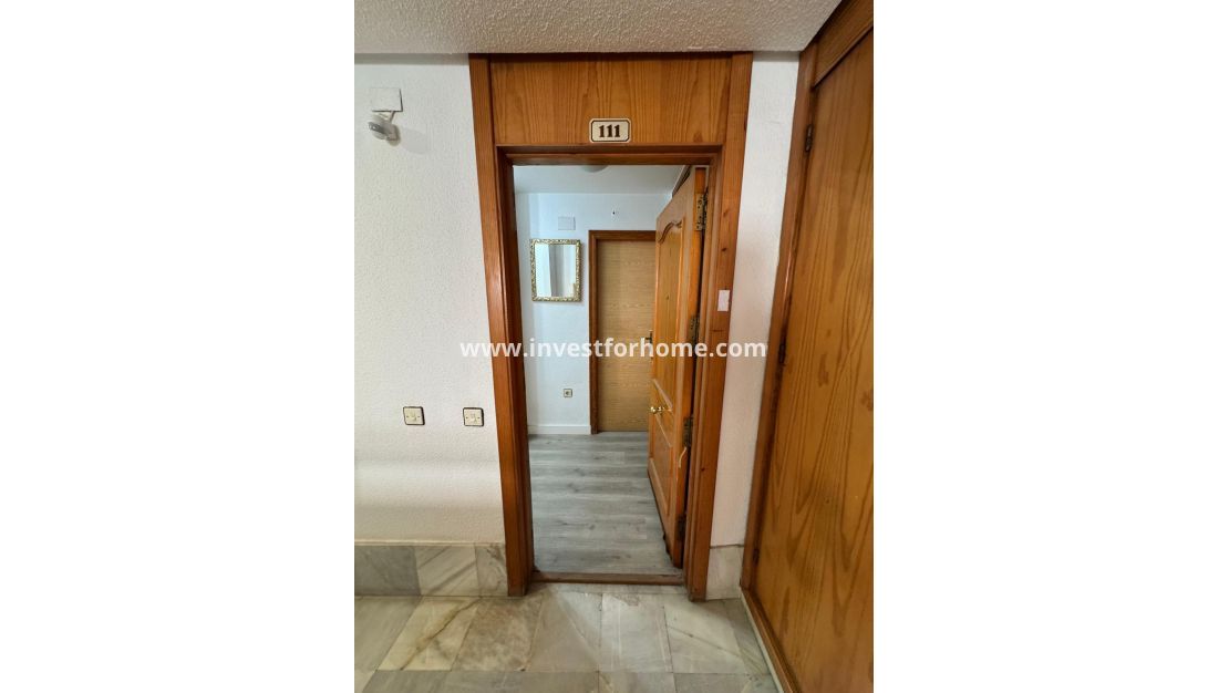 Sale - Estudio - Torrevieja - Playa de Los Locos-Curva del Palangre