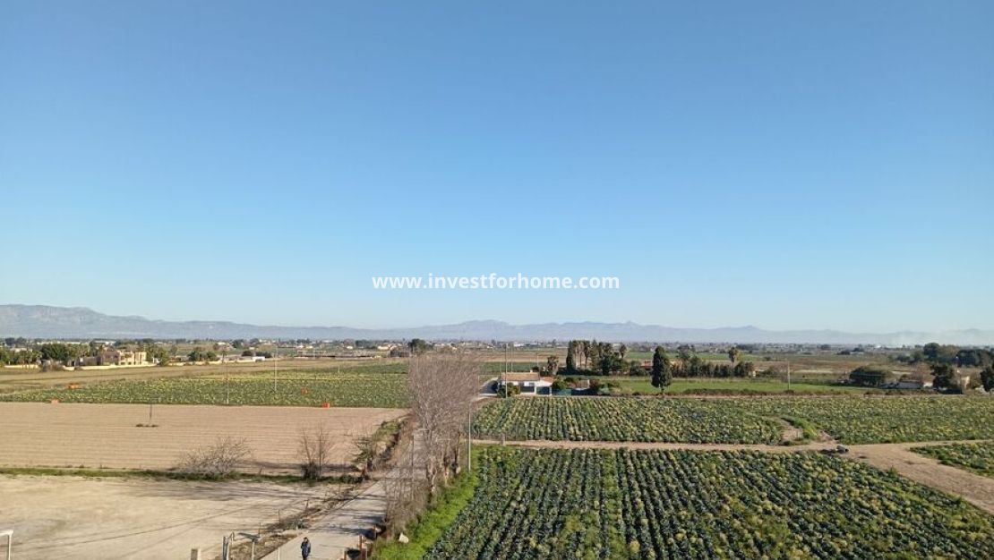 Sale - House - Daya vieja - Costa Blanca