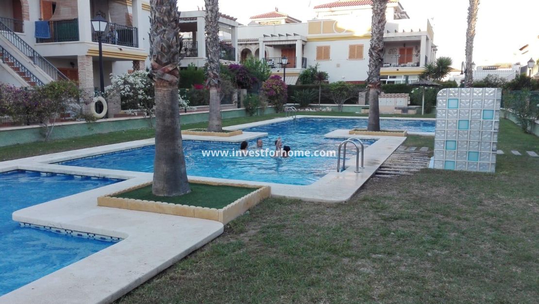 Sale - House - Daya vieja