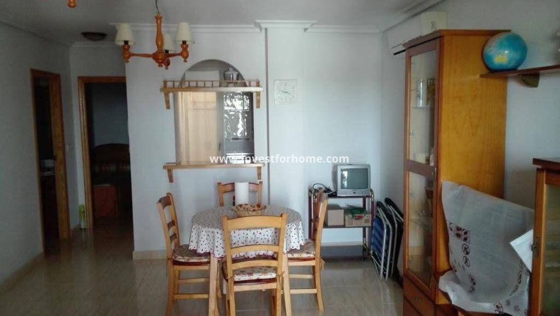 Sale - House - Daya vieja