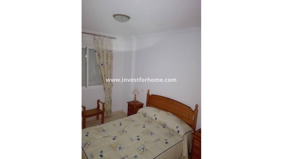 Sale - House - Daya vieja