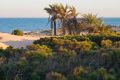 Sale - House - Guardamar del Segura - Costa Blanca