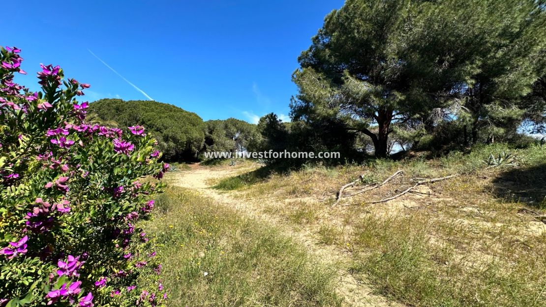 Sale - House - Guardamar del Segura - Costa Blanca