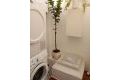 Sale - House - Guardamar del Segura - Costa Blanca