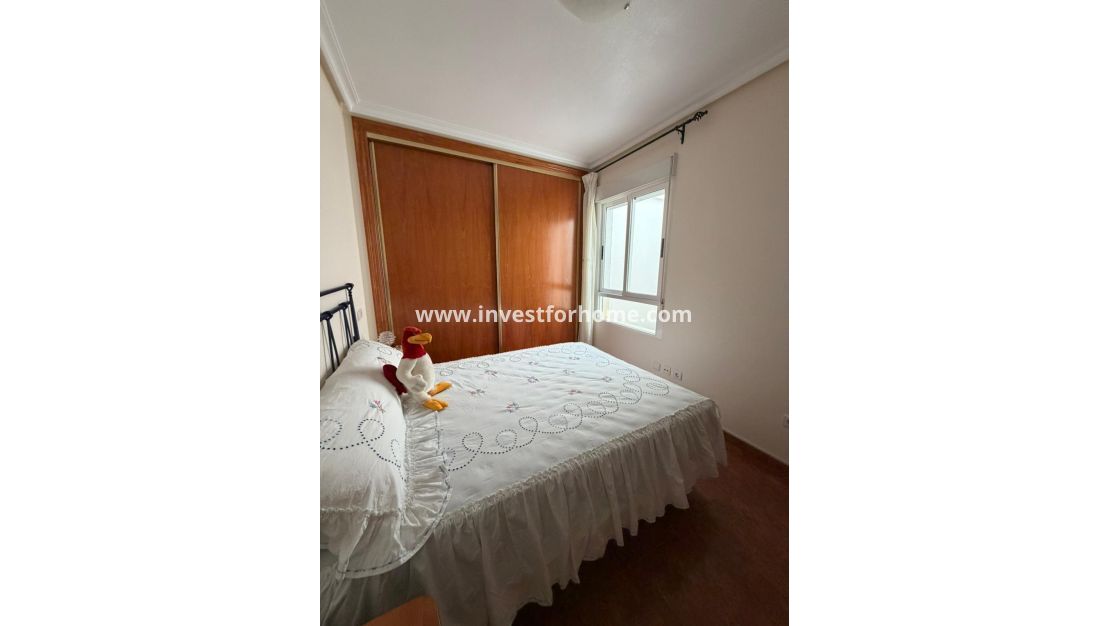 Sale - House - Guardamar del Segura - Pueblo
