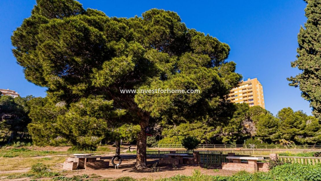 Sale - House - Orihuela Costa - Costa Blanca