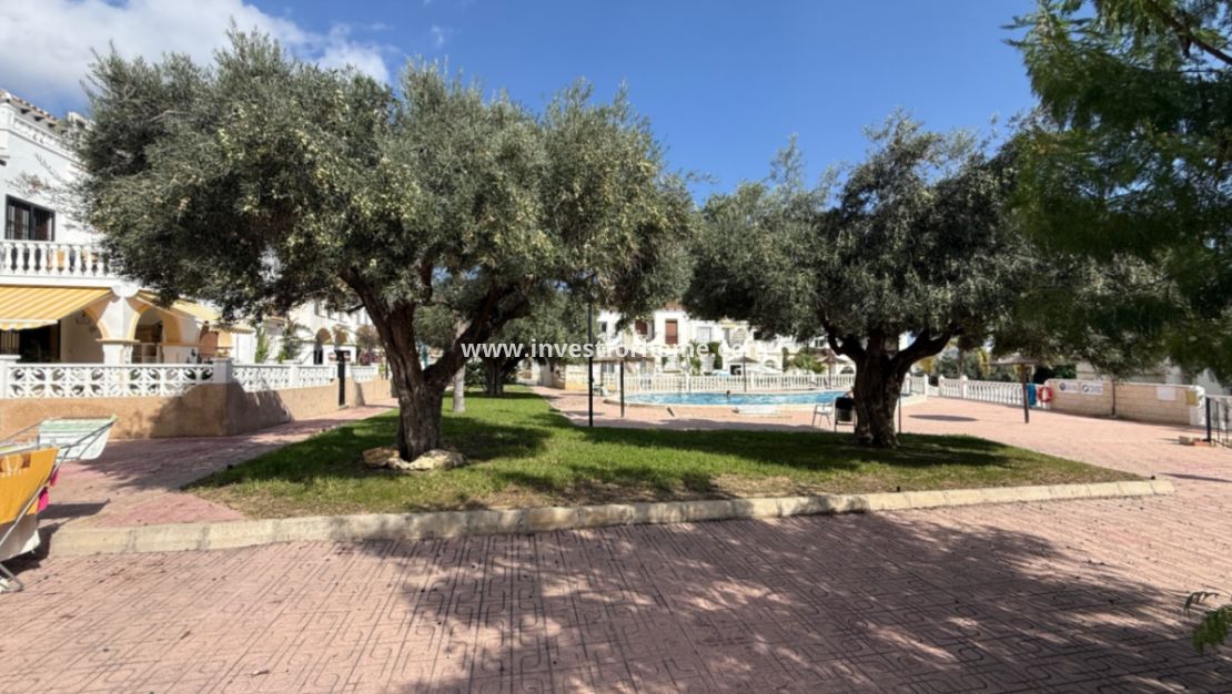 Sale - House - San Miguel de Salinas - Inland