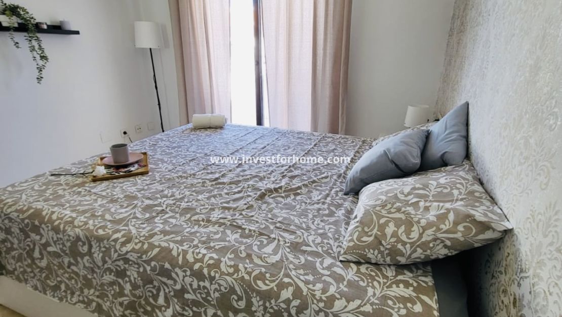 Sale - House - San Miguel de Salinas - Inland