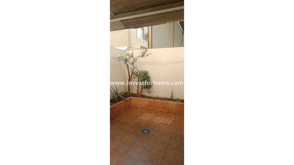 Sale - House - San Pedro del Pinatar - Centro