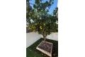 Sale - House - Torrevieja - aguas nuevas