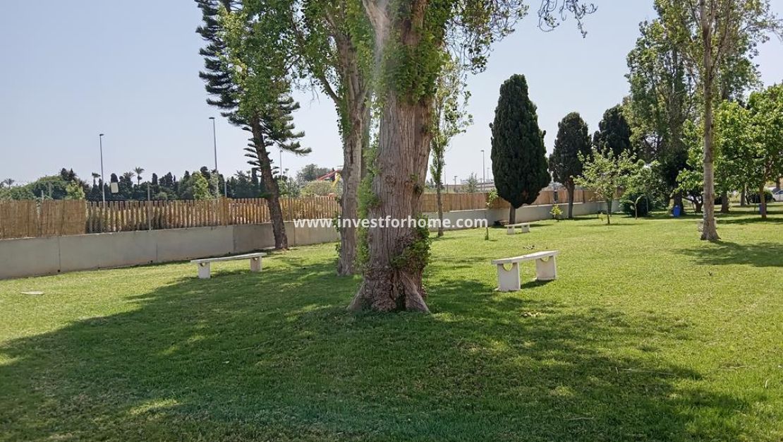 Sale - House - Torrevieja - Carrefour