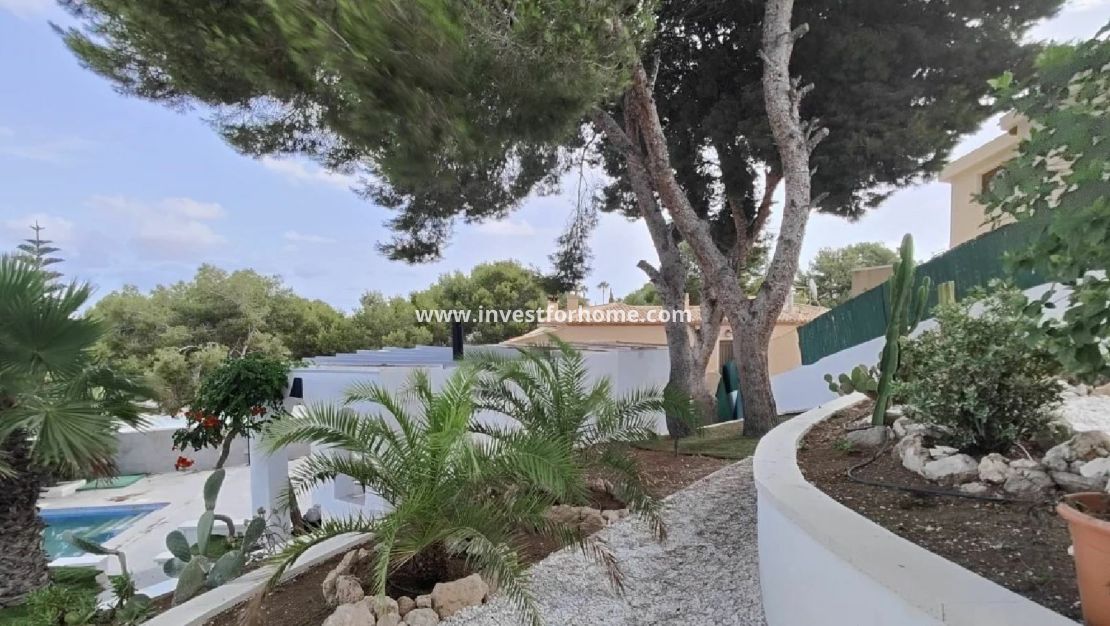 Sale - House - Torrevieja - Costa Blanca
