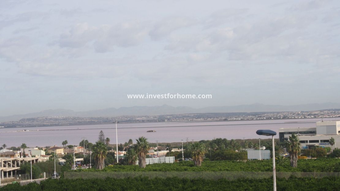 Sale - House - Torrevieja - Costa Blanca