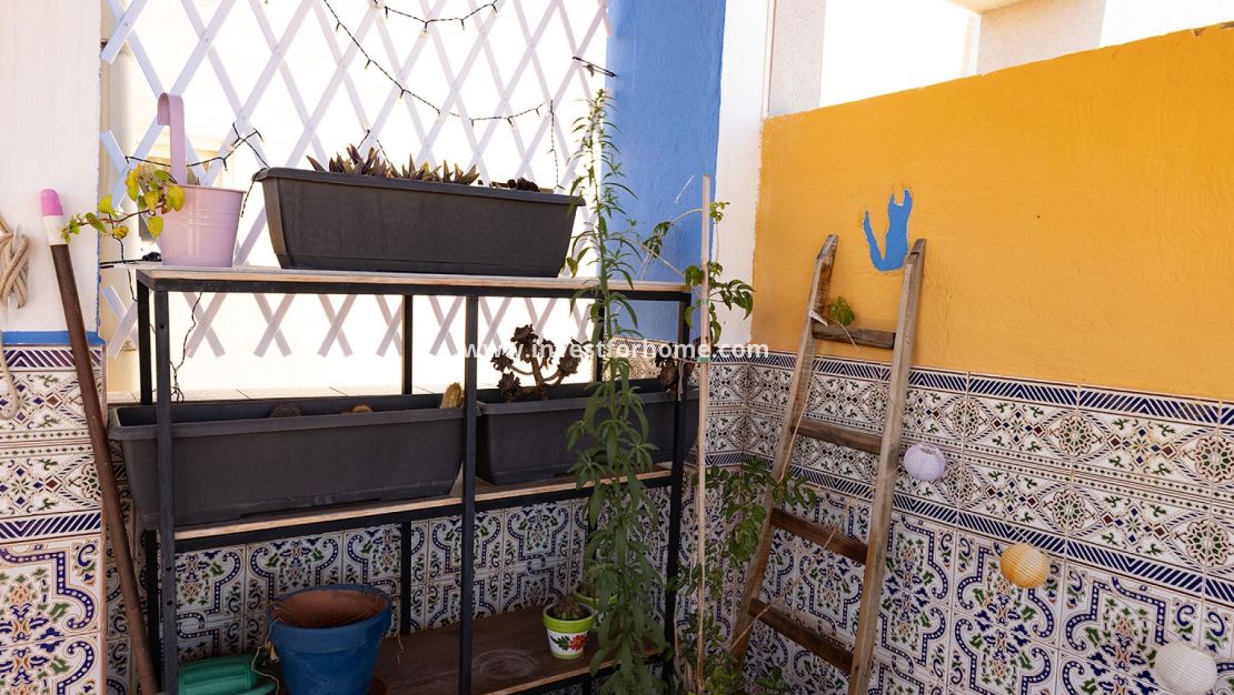 Sale - House - Torrevieja - Costa Blanca