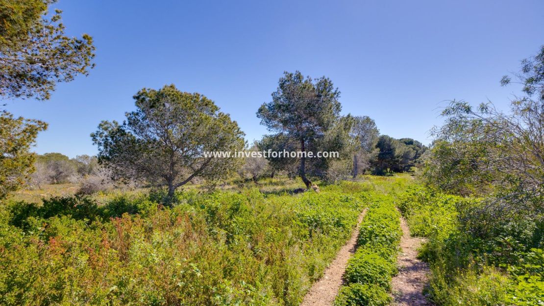 Sale - House - Torrevieja - La Siesta - El Salado - Torreta