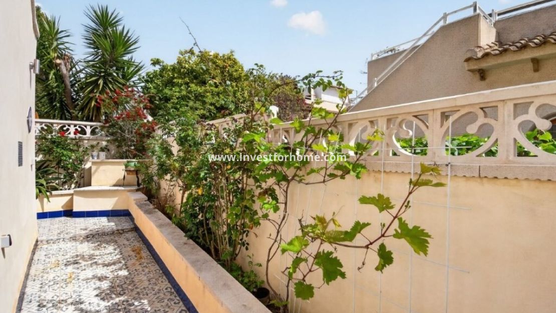 Sale - House - Torrevieja - Los Altos