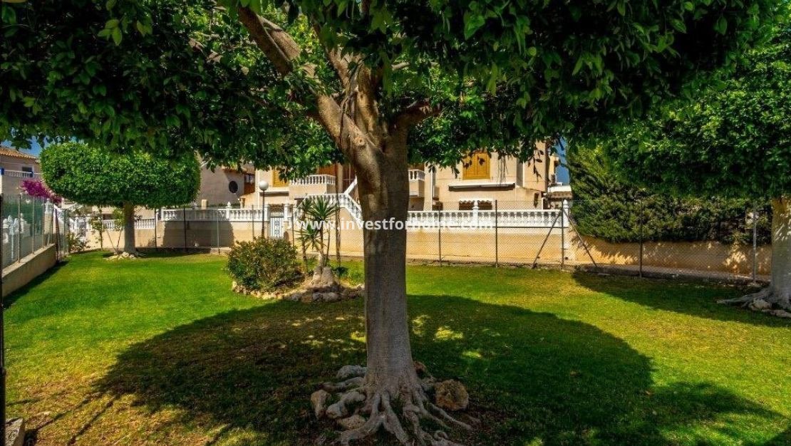 Sale - House - Torrevieja - Los Altos