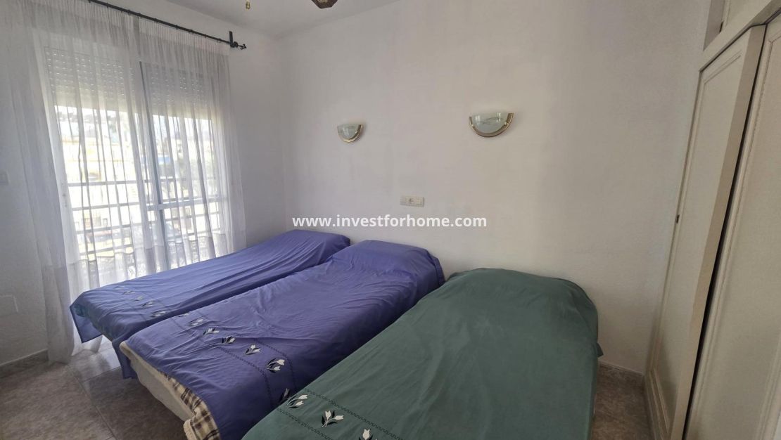 Sale - House - Torrevieja - Los Altos