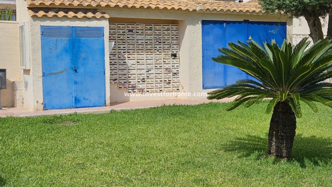 Sale - House - Torrevieja - Los Balcones - Los Altos Del Edén