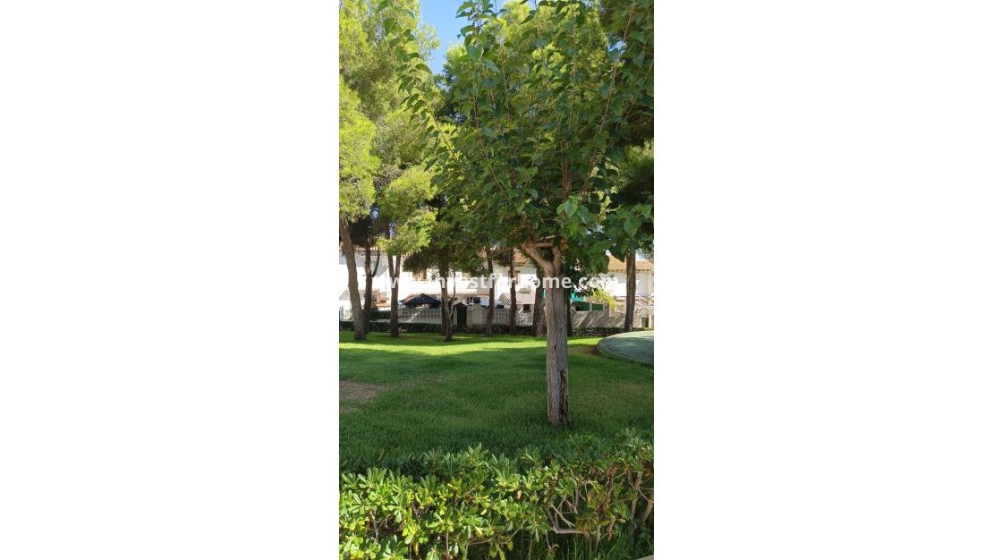 Sale - House - Torrevieja - Los Balcones