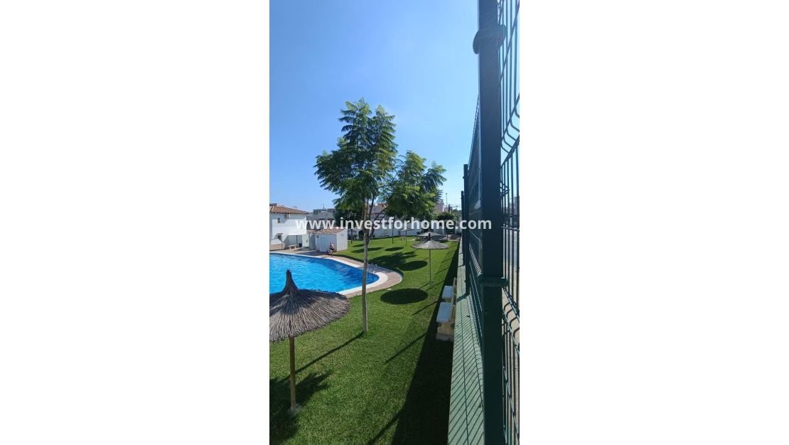 Sale - House - Torrevieja - Los Balcones