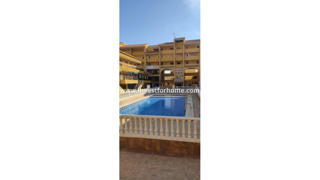 Sale - House - Torrevieja - Los Europeos
