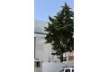 Sale - House - Torrevieja - Playa de los Locos