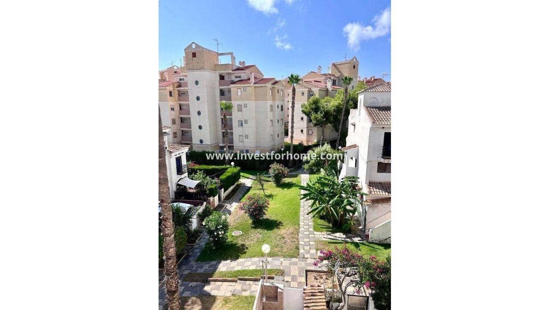 Sale - House - Torrevieja - Playa del Cura