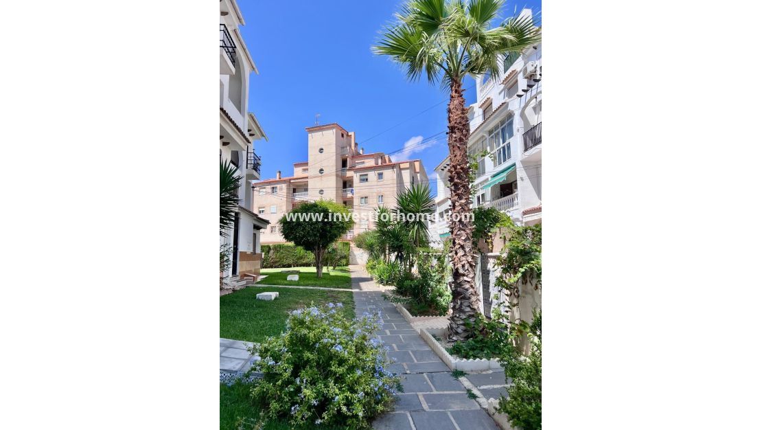 Sale - House - Torrevieja - Playa del Cura