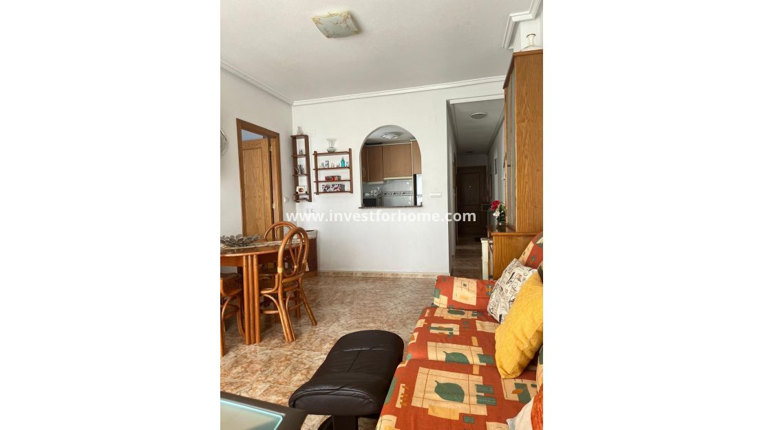 Sale - Penthouse - Torrevieja - Estacion De Autobuses