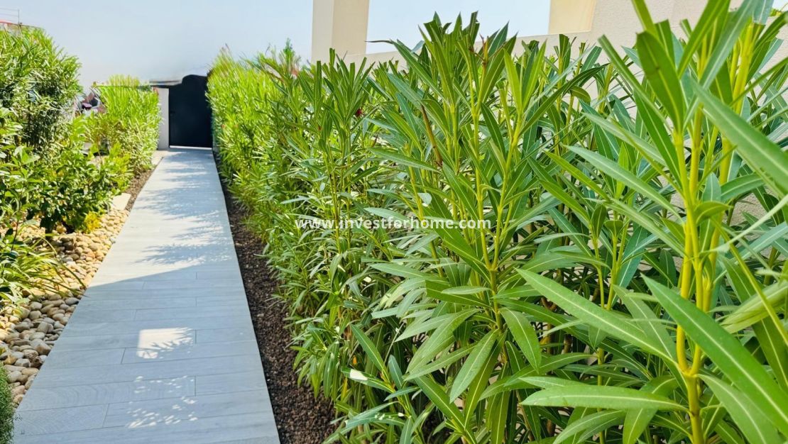 Sale - Villa - Algorfa - Club De Golf La Finca