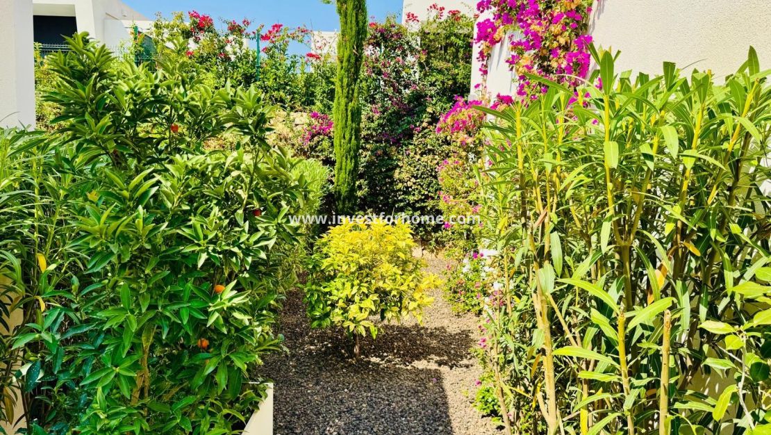 Sale - Villa - Algorfa - Club De Golf La Finca