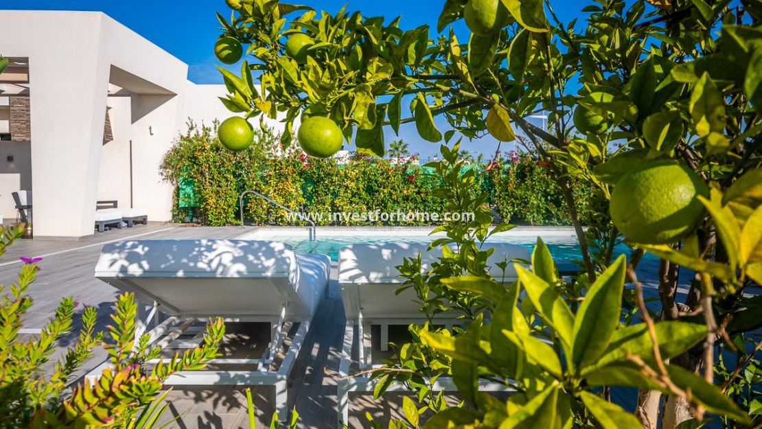 Sale - Villa - Algorfa - Inland