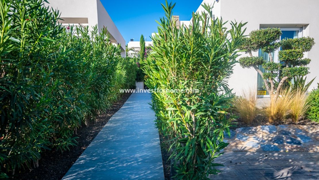 Sale - Villa - Algorfa - Inland